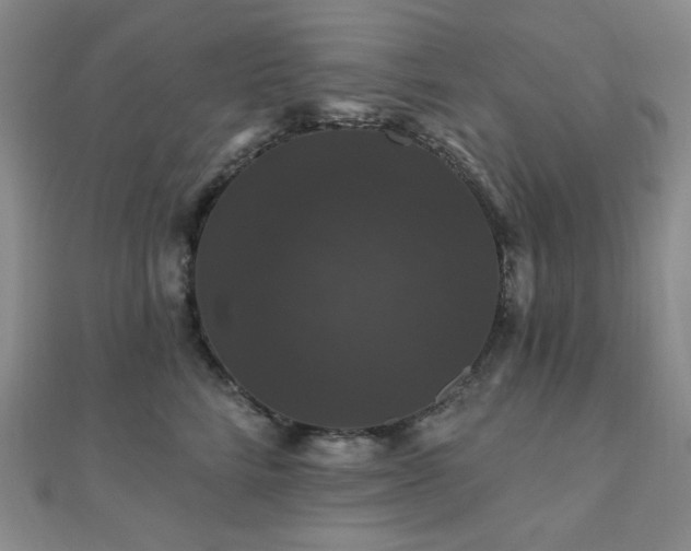 X0000110700712200906121334