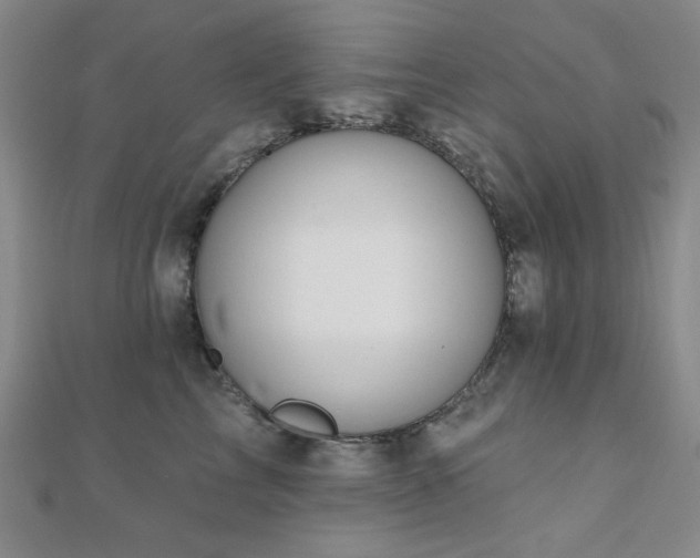 X0000110700713200906121334