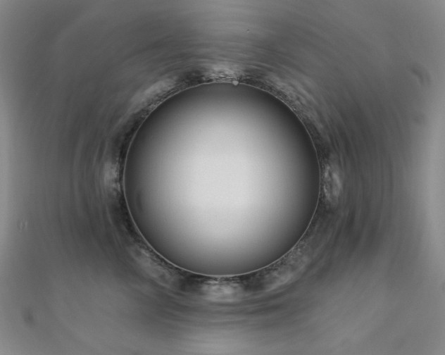X0000110700714200906121334