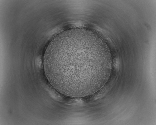 X0000110700715200906121334