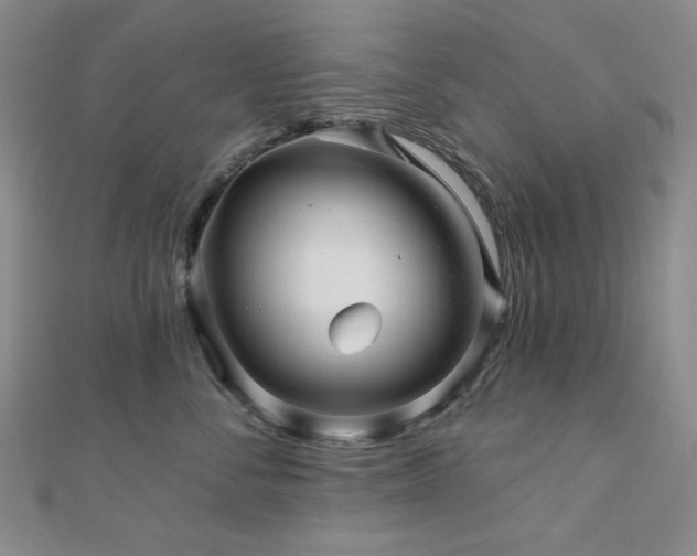 X0000110700716200906121334