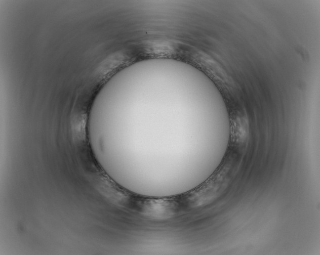 X0000110700717200906121334