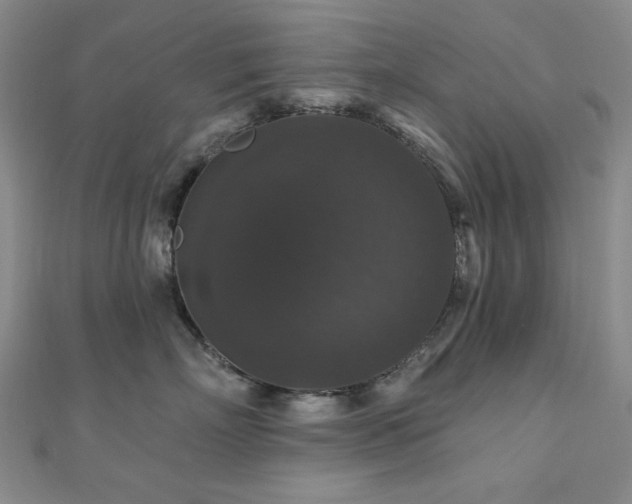 X0000110700718200906121334