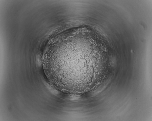 X0000110700719200906121334