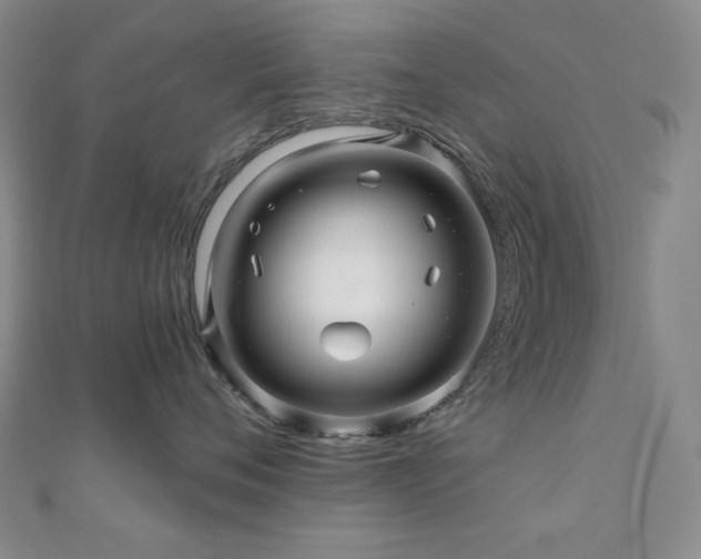 X0000110700720200906121334