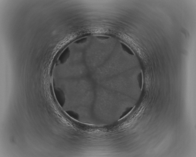 X0000110700721200906121333