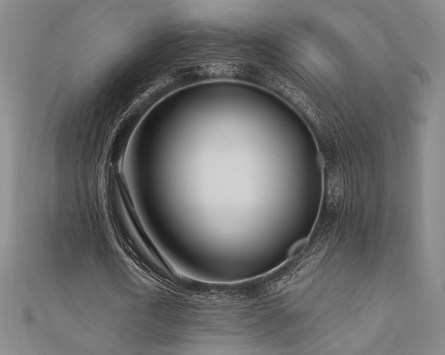 X0000110700722200906121333