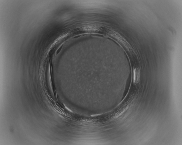 X0000110700723200906121333