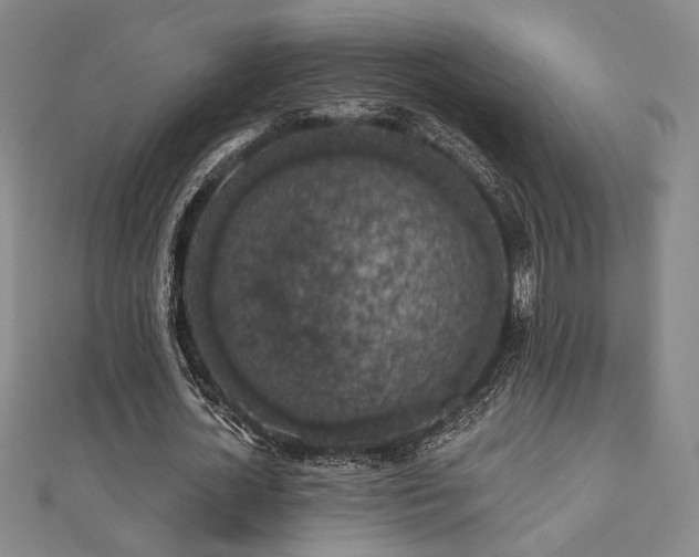 X0000110700724200906121333