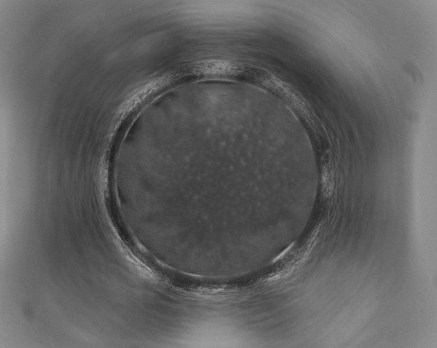 X0000110700725200906121333