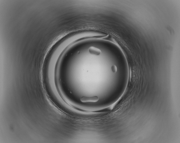 X0000110700726200906121333