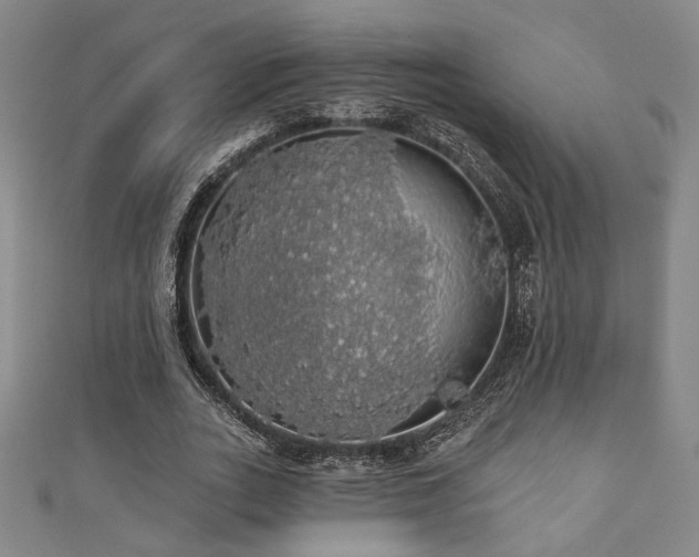 X0000110700727200906121333