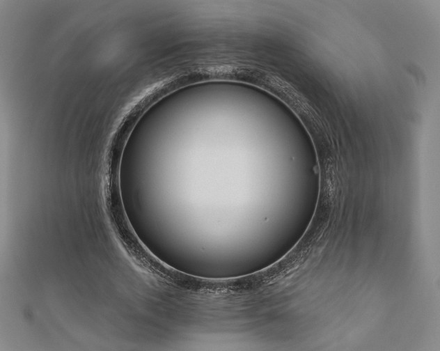X0000110700728200906121333