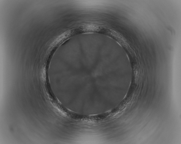 X0000110700729200906121333