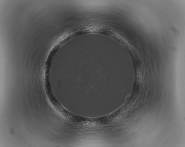 X0000110700730200906121333