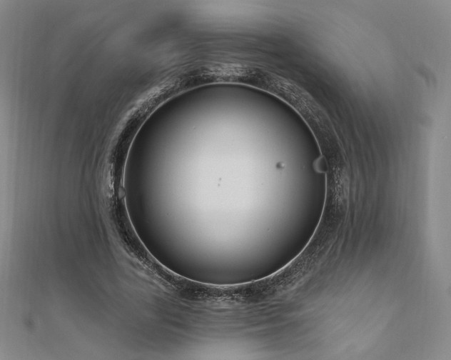X0000110700731200906121333