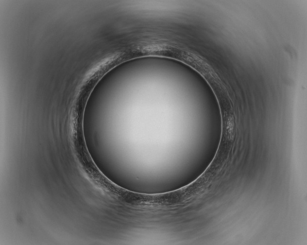 X0000110700732200906121333