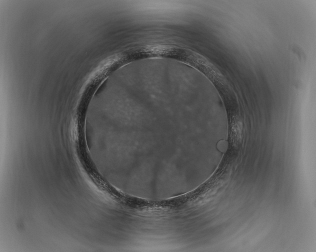 X0000110700734200906121333