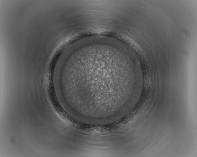 X0000110700736200906121333