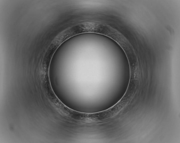 X0000110700737200906121333
