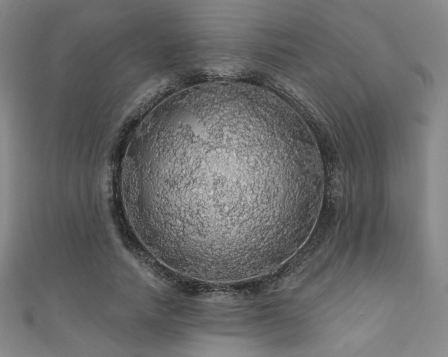 X0000110700738200906121333