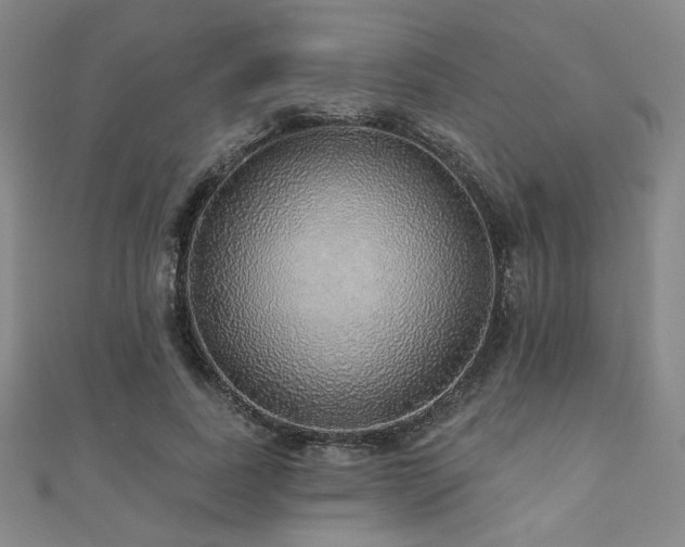 X0000110700739200906121333