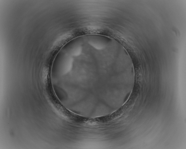 X0000110700742200906121333