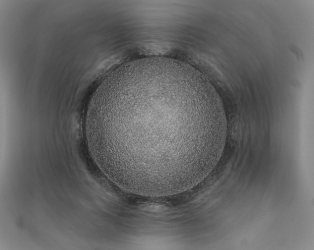 X0000110700743200906121333