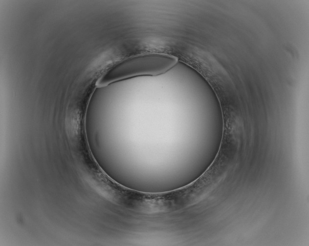 X0000110700744200906121333