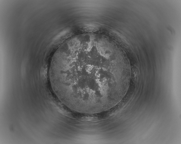 X0000110700745200906121333
