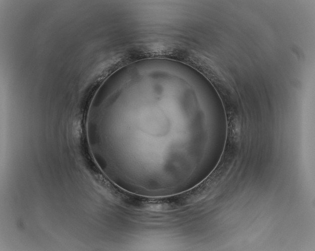 X0000110700746200906121333