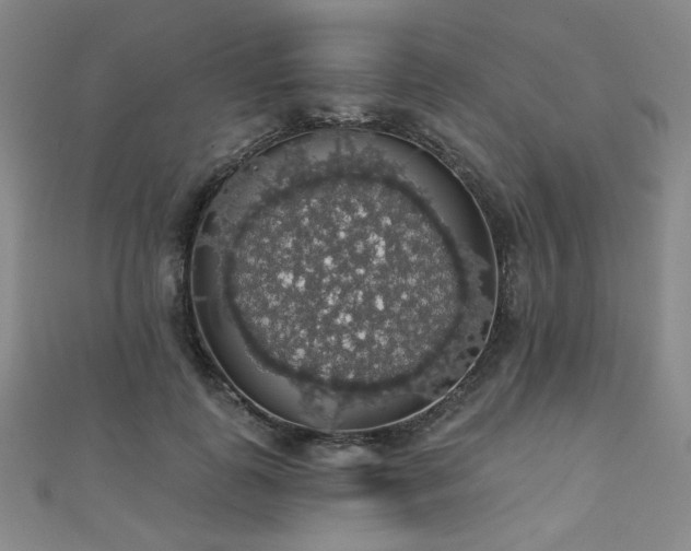 X0000110700747200906121333