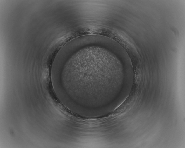 X0000110700748200906121333