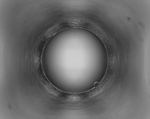 X0000110700749200906121333