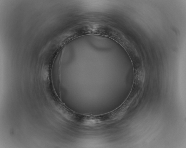 X0000110700754200906121333