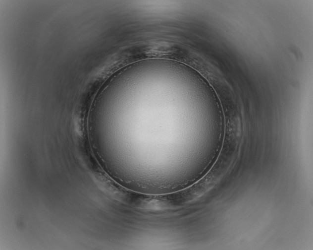 X0000110700755200906121333