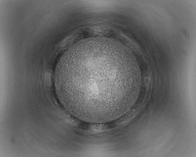 X0000110700757200906121333