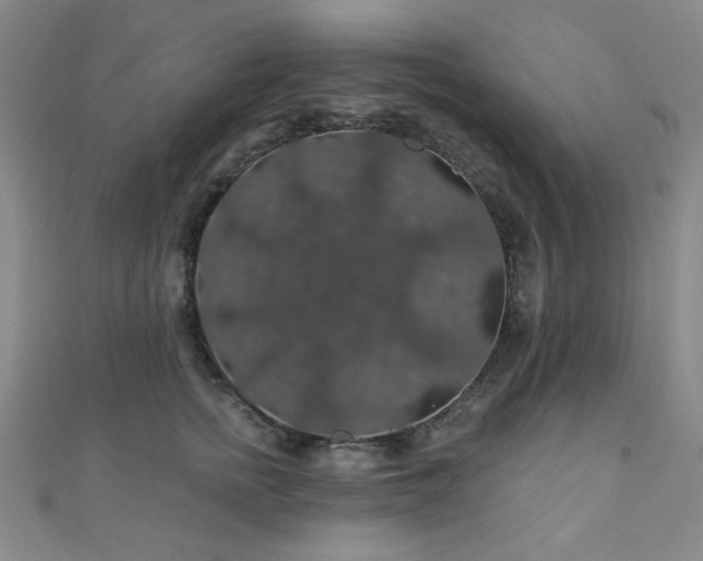 X0000110700758200906121333