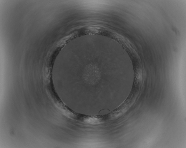 X0000110700759200906121333