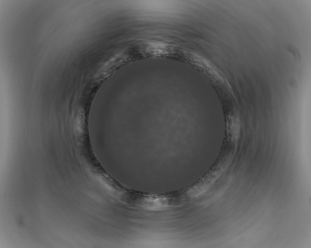 X0000110700760200906121333