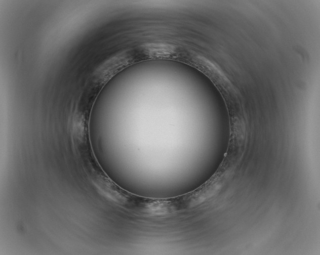 X0000110700761200906121333
