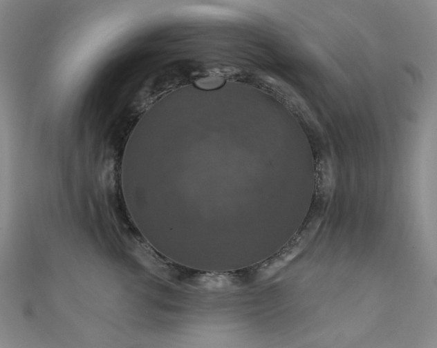 X0000110700762200906121333