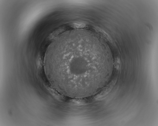 X0000110700763200906121333