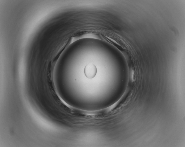 X0000110700764200906121333