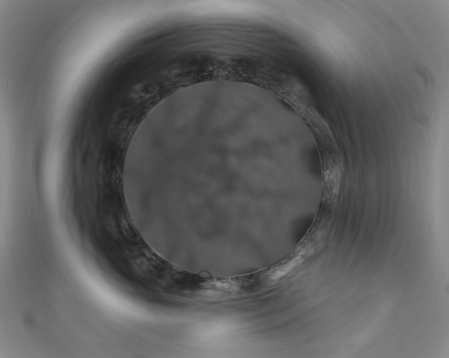 X0000110700765200906121333