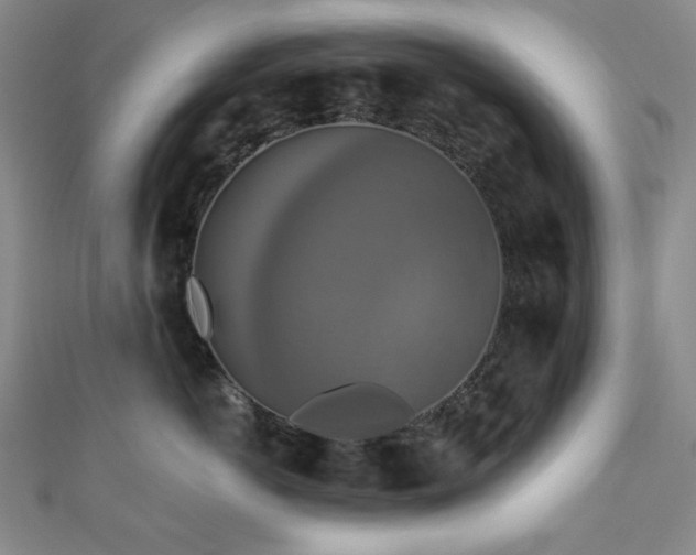 X0000110700766200906121334