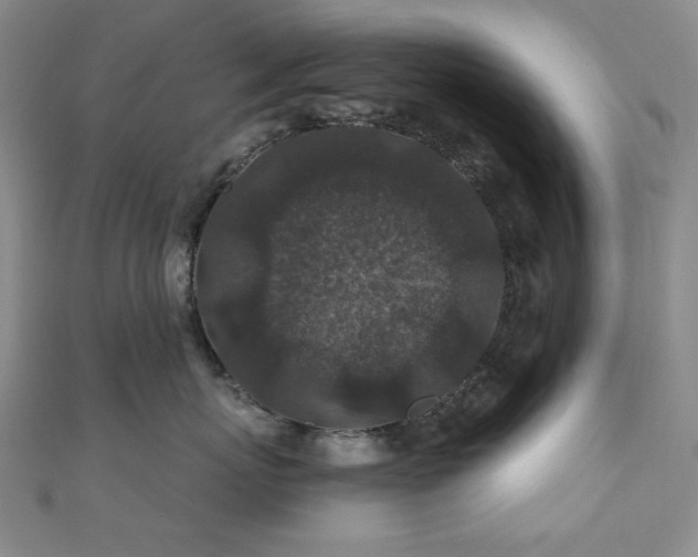 X0000110700767200906121334