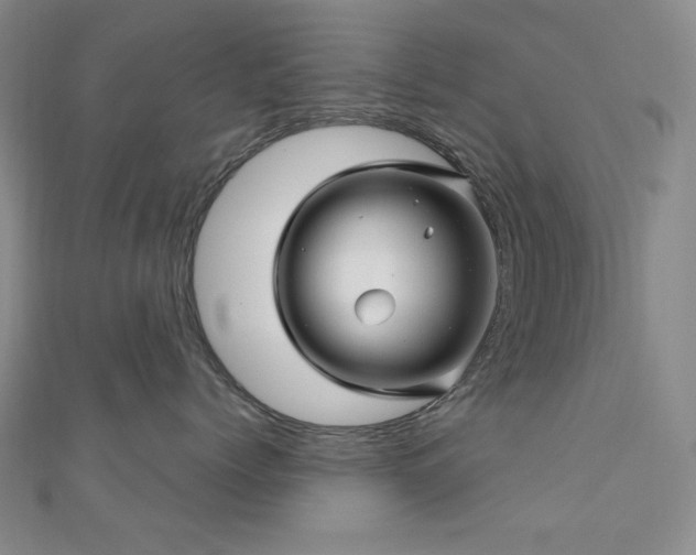 X0000110700768200906121334