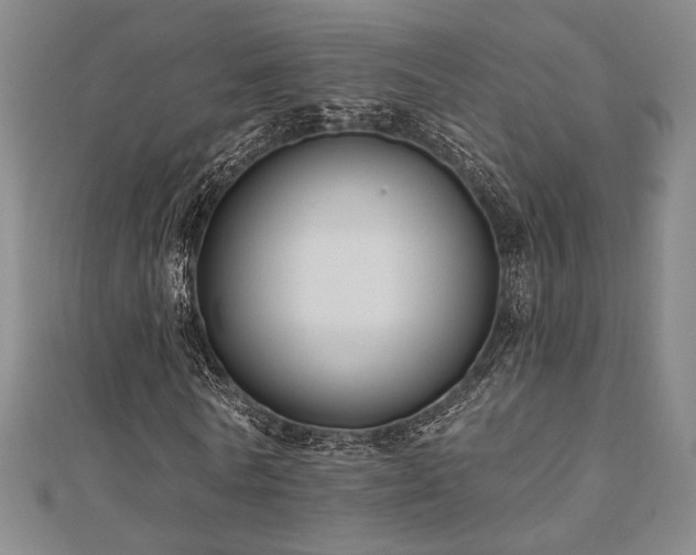 X0000110700770200906121333