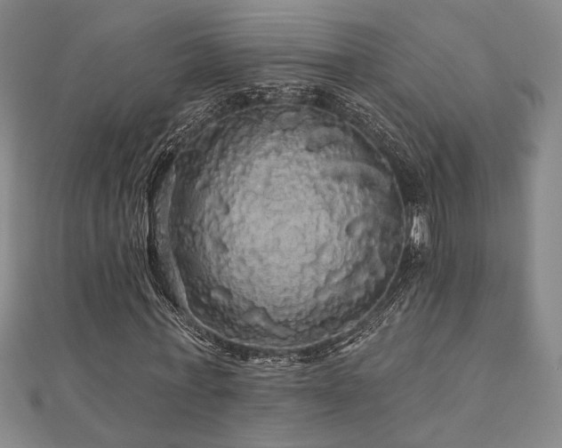 X0000110700771200906121333